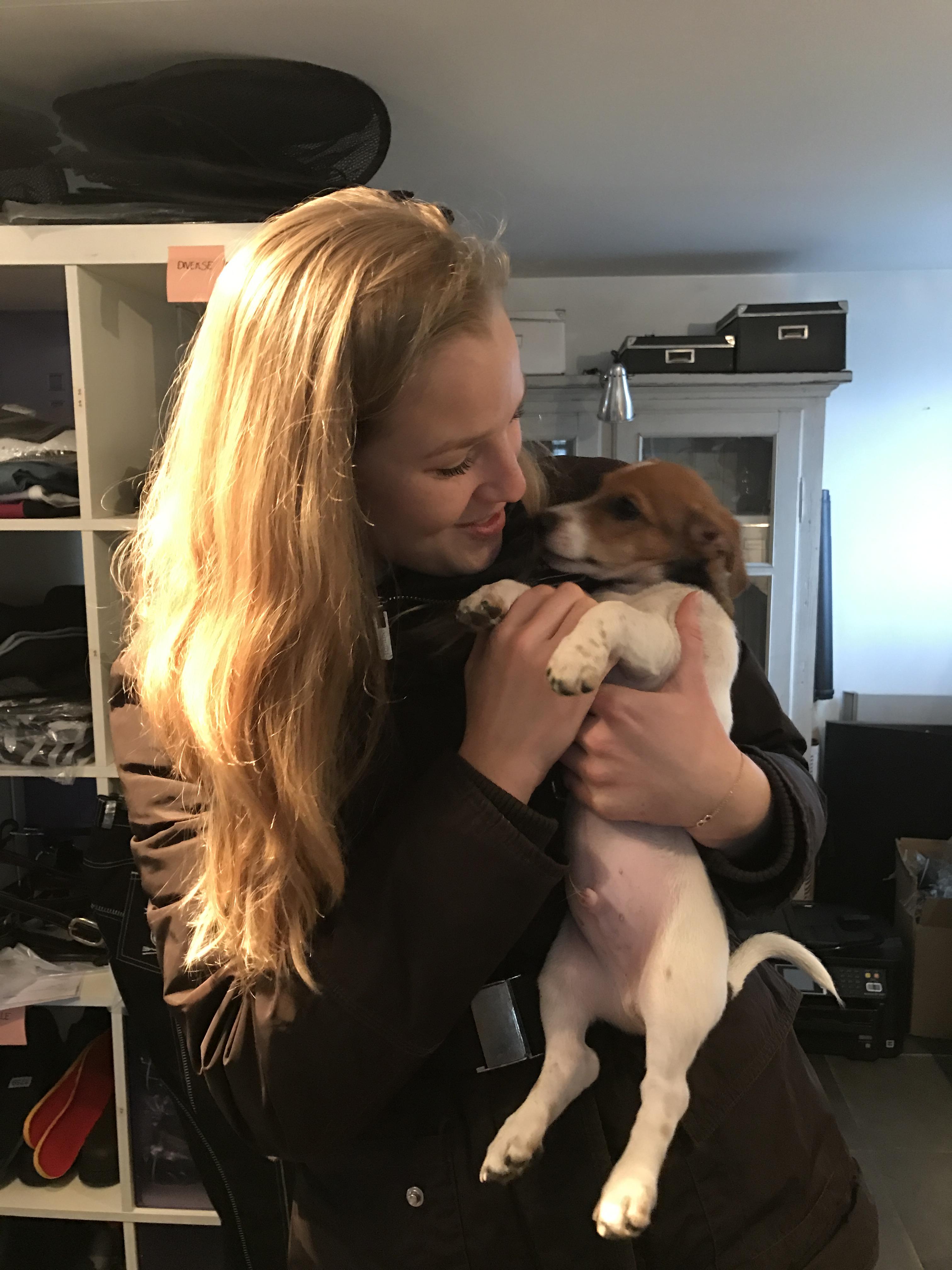 Active dog lover in Copenhagen